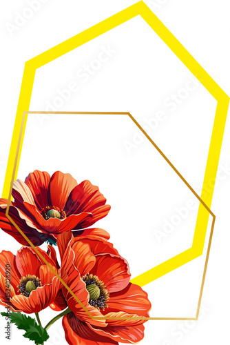 green hexagonal frame with three red poppies on a transparent background with a gold frame.Isolated, close-up
