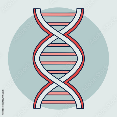 Stylized dna double helix with red and white strands, isolated on white background silhouette vector