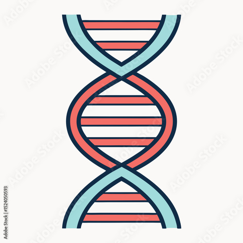 Stylized dna double helix, isolated on white background, in red and blue hues silhouette vector
