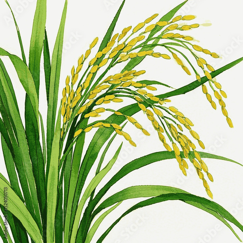 Sway & Grain rice stalks isolated watercolor vector illustration svg