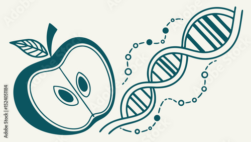 A halved apple intertwines with a dna strand, isolated on white background silhouette vector