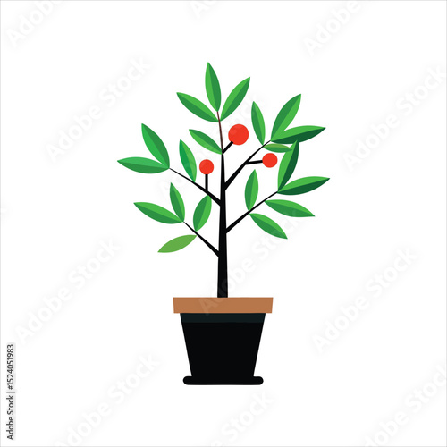 plant in a pot