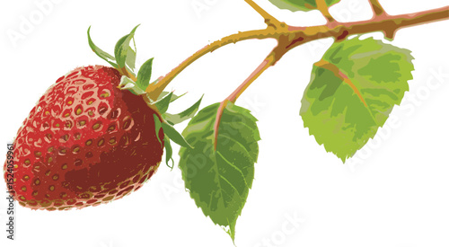 strawberry isolated on white