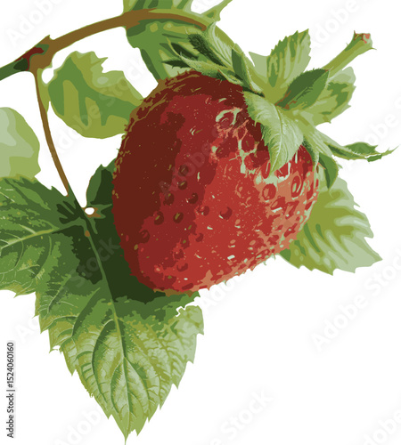 strawberry on a white background