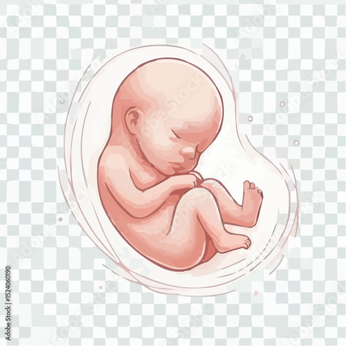 digital art of a baby protected in the womb 55