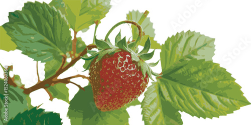 strawberry with leaves