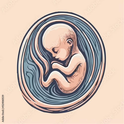 a comfortable baby in its mother's womb 99