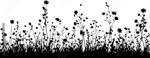 Silhouette of wildflowers meadow black and white floral design botanical illustration nature background art