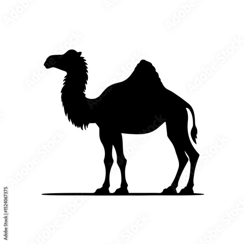 camel silhouette
