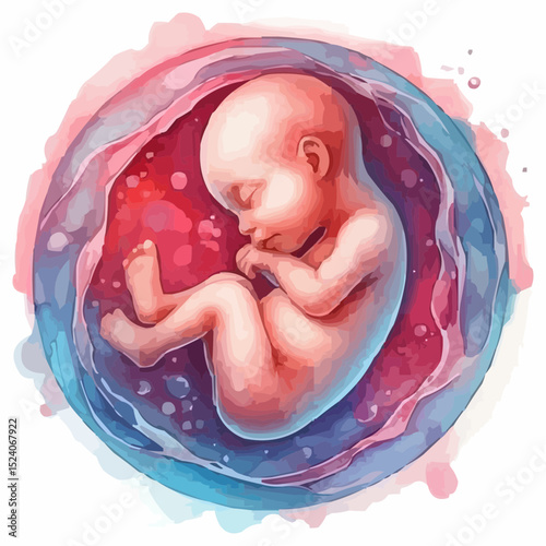 a comfortable baby in its mother's womb 68