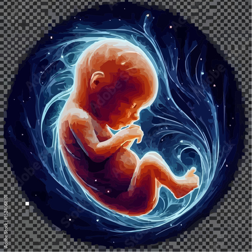 a comfortable baby in its mother's womb 50