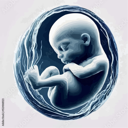 a comfortable baby in its mother's womb 47