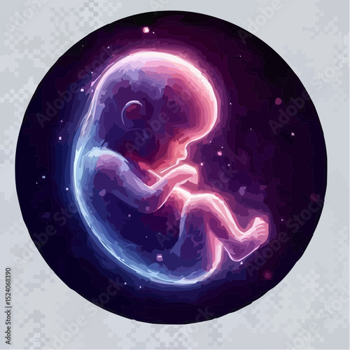a comfortable baby in its mother's womb 13