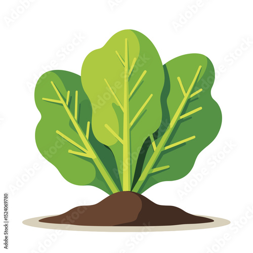Illustration of a Healthy Green Spinach Plant Growing in Soil, Fresh Vegetable Concept