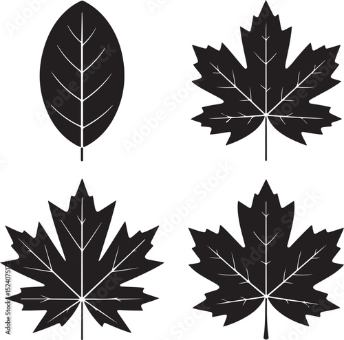 Maple Leaf Silhouette SVG – Canada Day Clipart Design

Rustic Maple Leaf Vector – Autumn and Fall Decor

Canadian Maple Leaf Cut File for Cricut & Silhouette

Simple Maple Leaf Outline – Nature Clipar