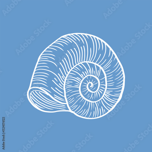 Elegant white seashell line art over a calm blue backdrop. Perfect for modern beach house interiors or nautical illustrations.