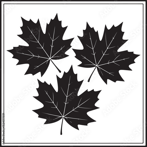 Maple Leaf Silhouette SVG – Canada Day Clipart Design

Rustic Maple Leaf Vector – Autumn and Fall Decor

Canadian Maple Leaf Cut File for Cricut & Silhouette

Simple Maple Leaf Outline – Nature Clipar