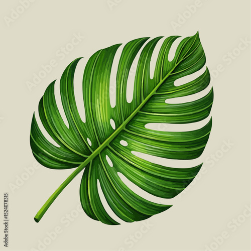 Monstera Leaf Displays Intricate Veins and Unique Fenestrations in Lush Detail

