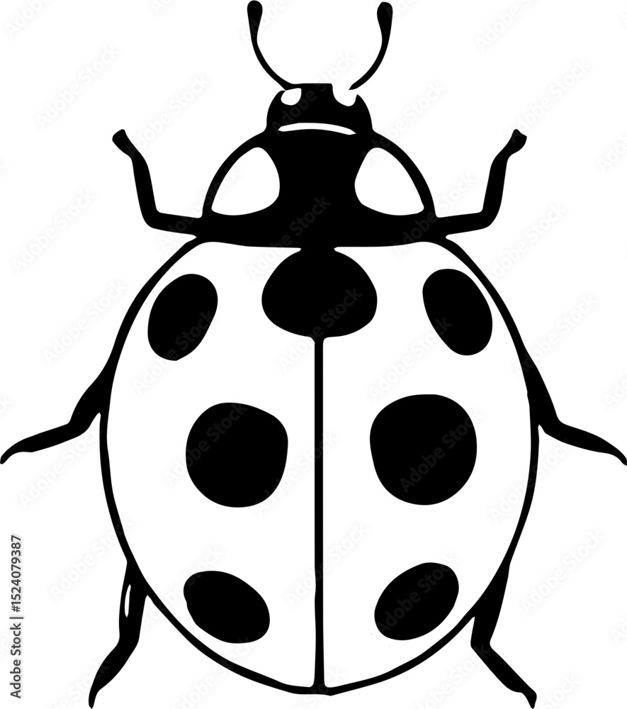 Obraz premium vector illustration of a ladybug