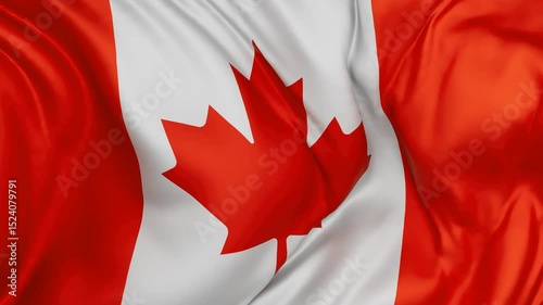Canada flag swaying in the wind, endless cycled loop video background