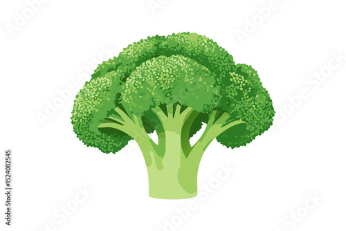 ブロッコリーのイラスト