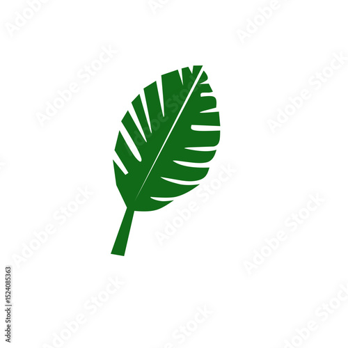 A collection of green tropical leaves in various shapes and sizes, including monstera, palm, and fern leaves, arranged in a seamless pattern on a white background.