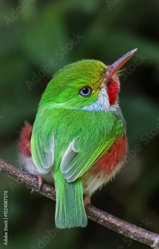 Quadro su tela the green parrot