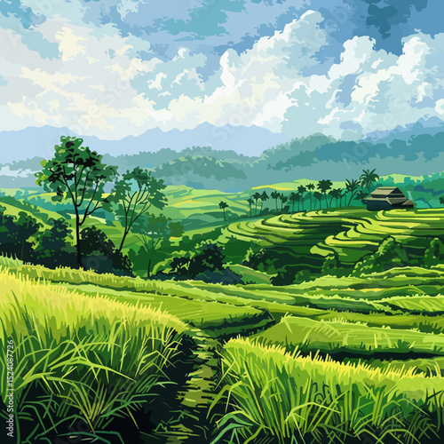 Rice field 