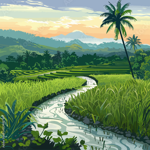 Vector rice field 