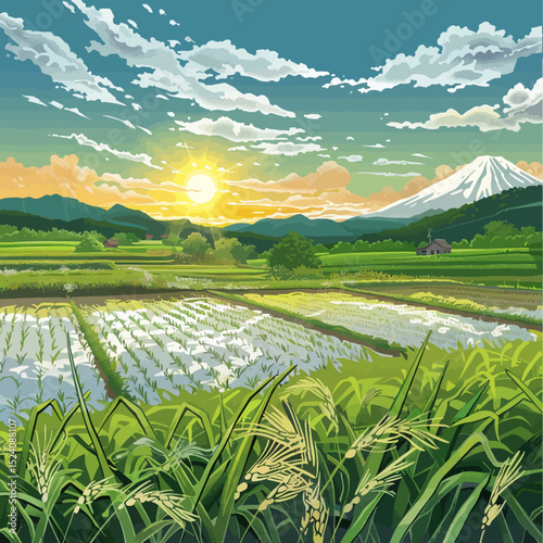 Illustration of rice field 