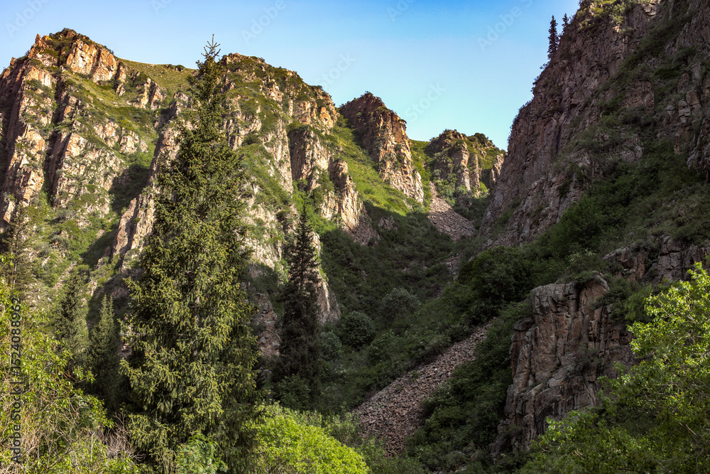 Naklejka premium mountain landscape with a tree