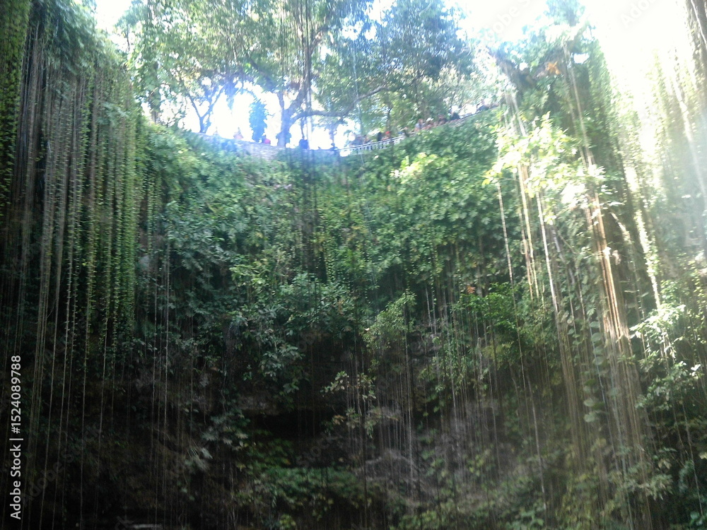 Obraz premium SELVA CIELO CENOTE NATURALEZA VEGETACION