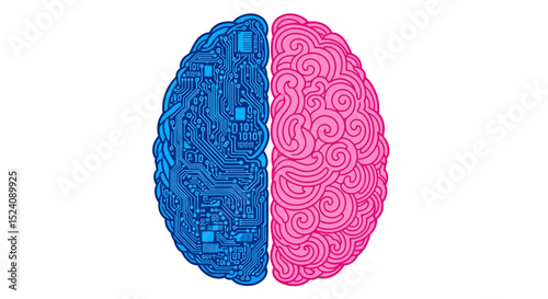 Digital Brain: Circuit Board and Organic Hemisphere Illustration