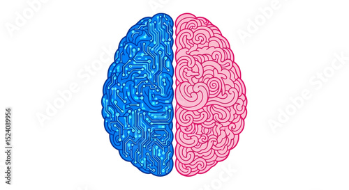 Digital Brain Hemisphere Split: Circuitry and Organic Design