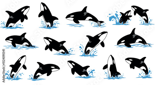 Various orcas swimming and jumping in ocean scenes vector illustration