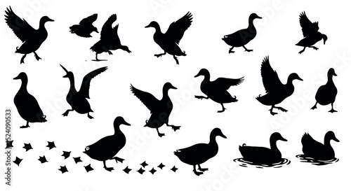Silhouettes of ducks in various poses and activities vector illustration
