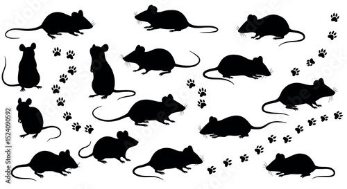 Silhouette of mice with paw prints on white background vector illustration