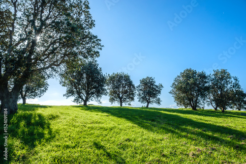 Gerringong  is a town located about ten minutes drive south of Kiama, and about twenty minutes north of Nowra in the Illawarra region of New South Wales