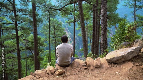 Alone with Nature | A Soulful Moment in the Forest
