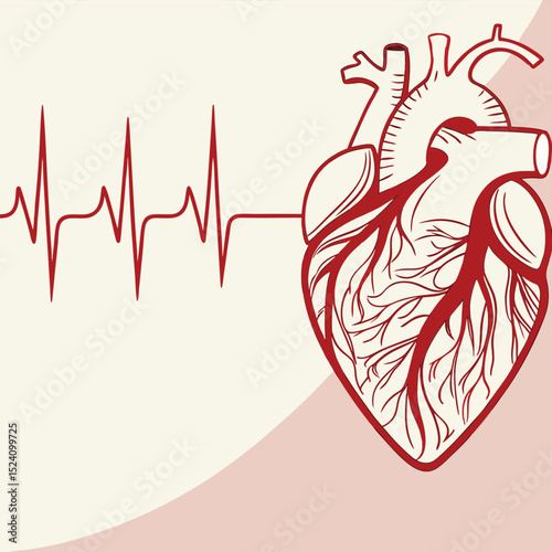 heart and heartbeat
