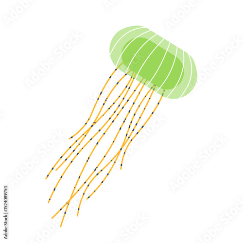 Colorful jellyfish vector illustration isolated on white. Underwater marine jellyfish. Undersea animals, medusa. Seawater invertebrates with dangerous tails, tentacles. Perfect for marine designs.