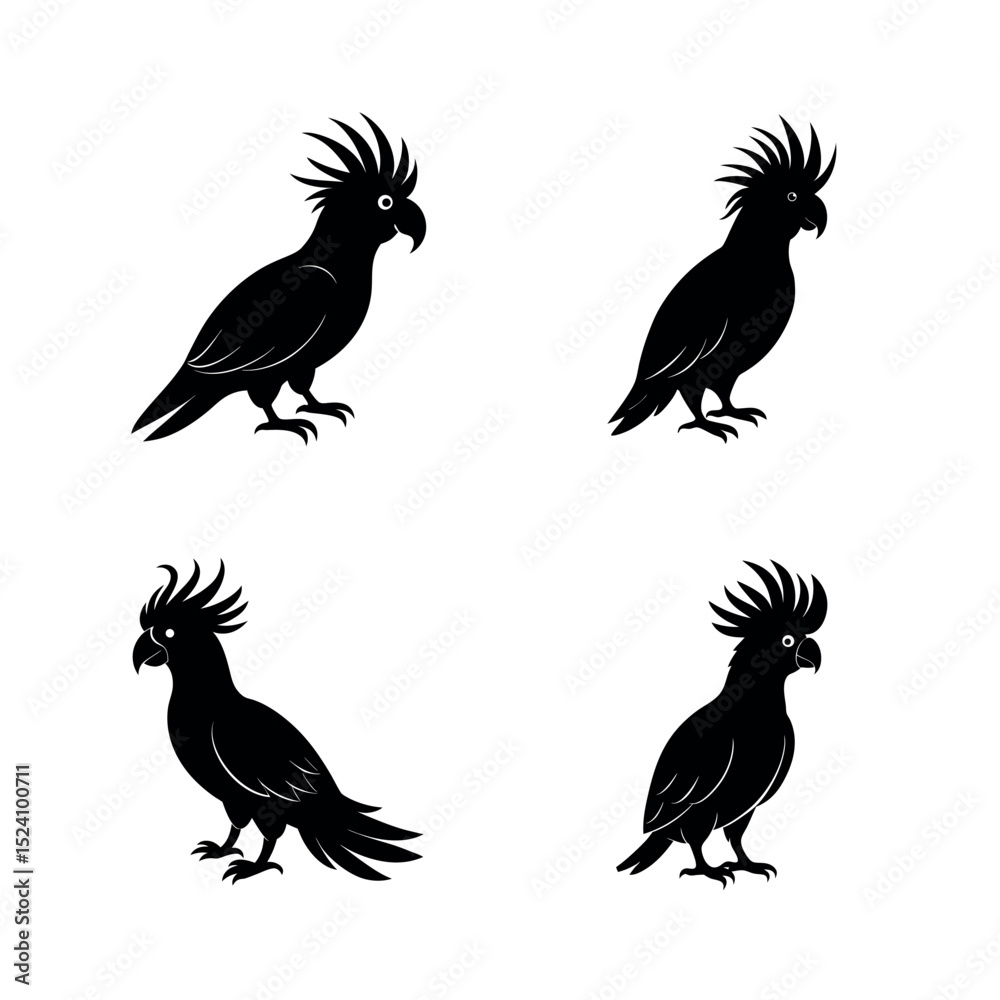 Obraz premium Cockatoo vector silhouettes of birds