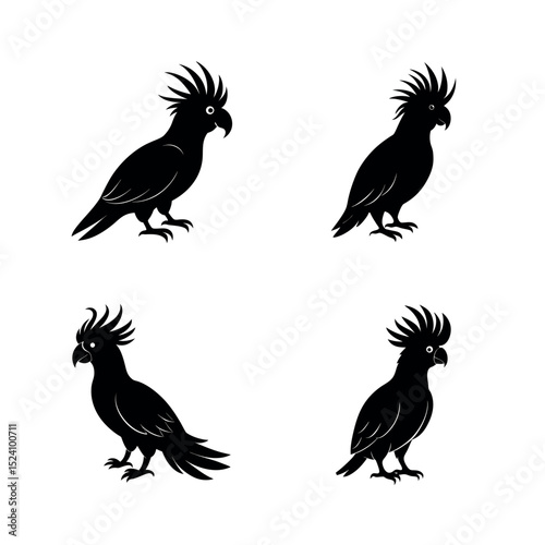 Cockatoo vector silhouettes of birds