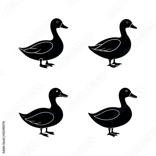 set of ducks