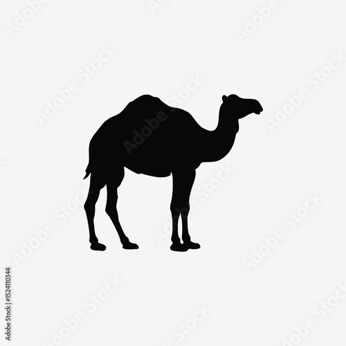 Download a premium camel vector silhouette in high resolution. Perfect for desert-themed designs, logos, travel graphics, wildlife art, and educational or cultural illustrations.
