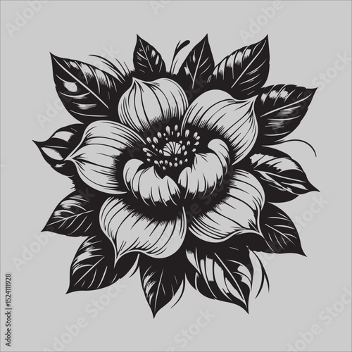 Timeless Peony

