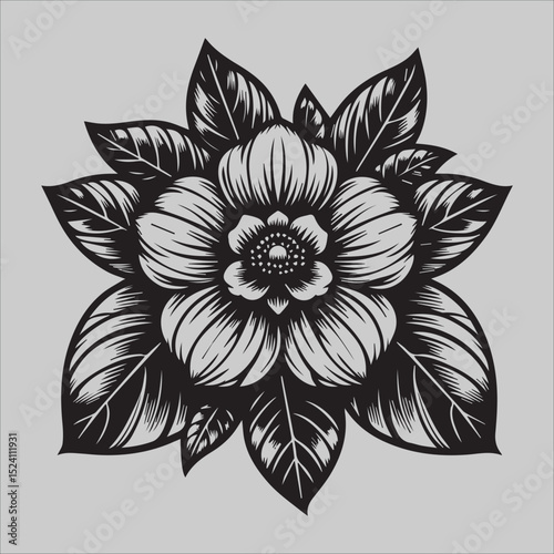Timeless Peony

