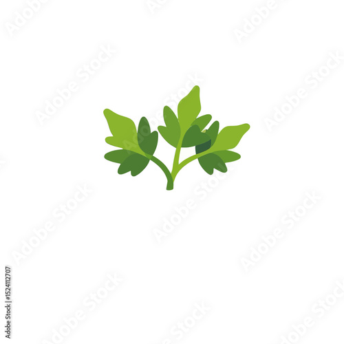 parsley-herb-icon-vector-illustration-fresh-green-plant-graphic
