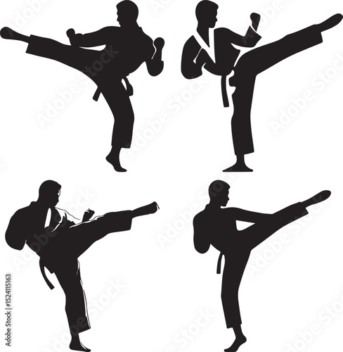 Martial Arts Kick Silhouettes Demonstrating Dynamic Combat Techniques