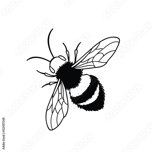  A detailed yet simple line drawing of a bee in flight, showing wings, fuzzy body, and antennae. Created in a minimalist monoline style, ideal for logos, packaging, and eco-friendly designs. Vector fo